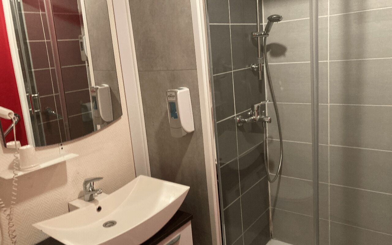 A bathroom with a white sink, a mirror, a handheld showerhead, and a soap dispenser.