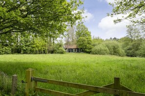 2 bedrooms - Idyllic House With 360 View of Nature (Dalfsen)