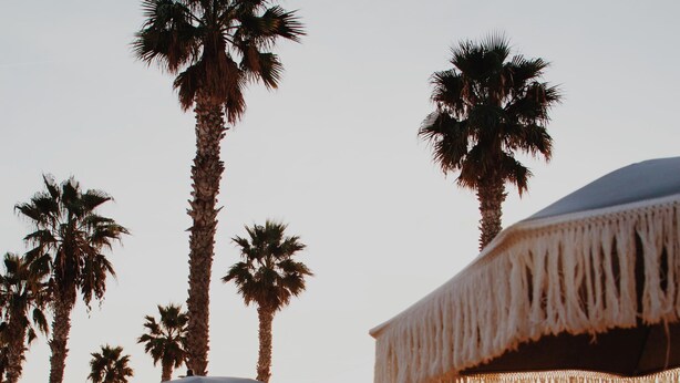 A beachside lounge with palm trees, outdoor seating, and a view of the ocean. - Hôtel Rose Thé (La Ciotat)