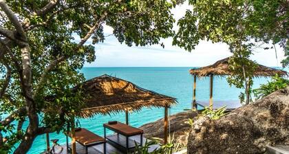 Vikasa Yoga Retreat