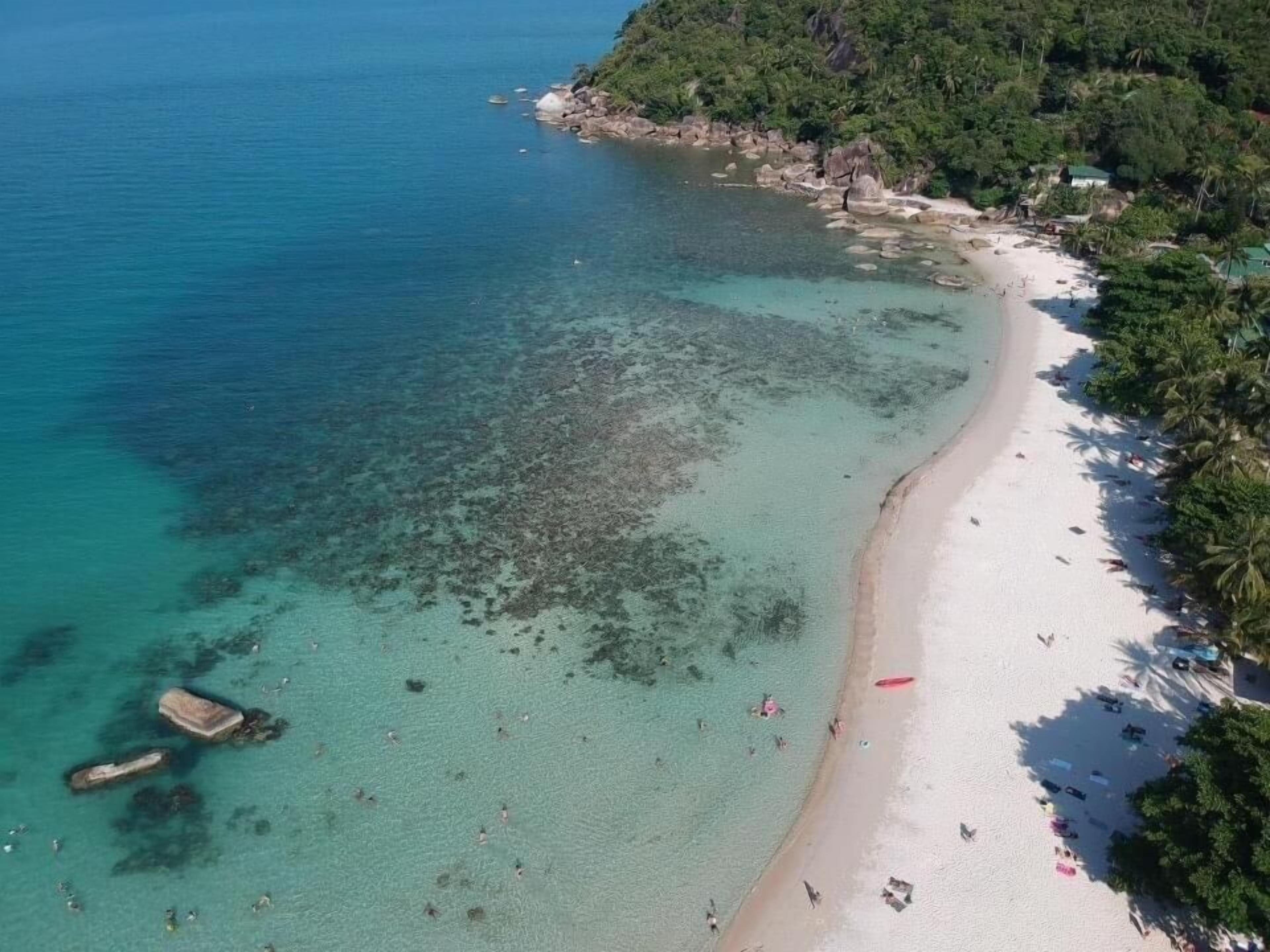An aerial view of a beach with clear turquoise waters, a sandy shore, and dense greenery on the hillside.