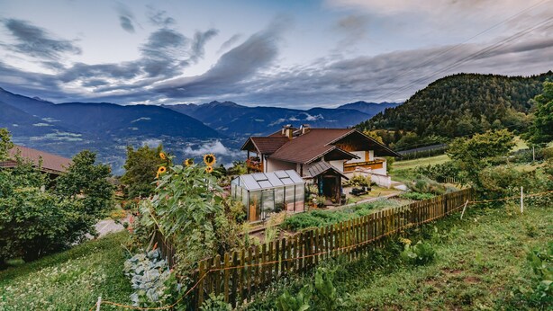 Una casa amb hivernacle, envoltada per una tanca de fusta i vegetació abundant.