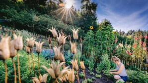 Un jardí amb una varietat de plantes i una persona que en cuida.