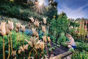 Terrain de l’hébergement 