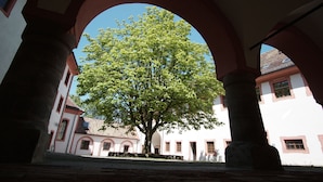 A courtyard with a tree, arches, and buildings.