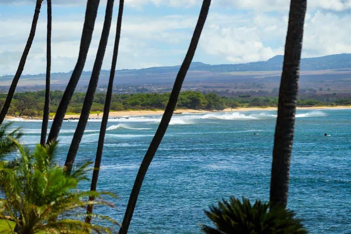 A coastal view with palm trees, ocean waves, and distant hills.