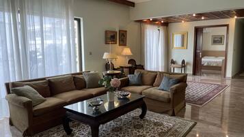 Smart TV, fireplace, books, stereo