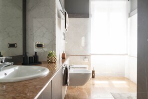 Shower, hair dryer, bidet, towels