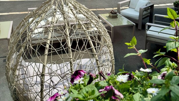 Un patio jardín con mobiliario exterior, que incluye una silla colgante y mesas.