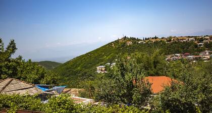 Forest guest house in Sighnaghi