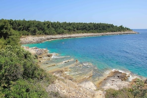 Nära stranden