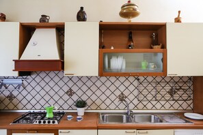 Fridge, oven, stovetop, cookware/dishes/utensils