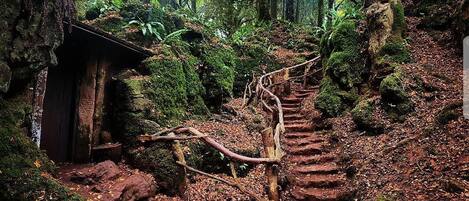 Terrein van de accommodatie