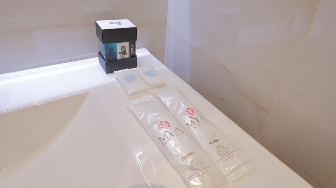 shower, free toiletries, hair dryer, bidet