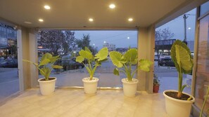 A reception area with potted plants and a view of the street outside. - Granda Hotel (Kashar)