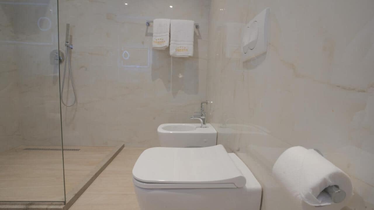 shower, free toiletries, hair dryer, bidet