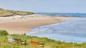 Une plage avec un rivage sablonneux et un banc en bois au premier plan.