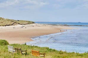Beach - Host & Stay | The Puffins Nest (Seahouses)
