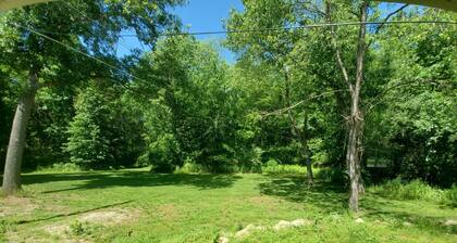 Cute House in the Big Woods