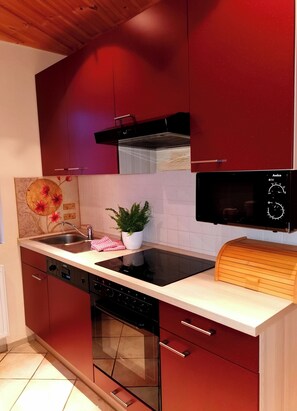 Kühlschrank, Mikrowelle, Herdplatte, Geschirrspüler