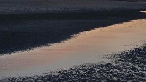 A sunset over a beach with calm waters and a clear sky. - Near-sea rental (Quend)