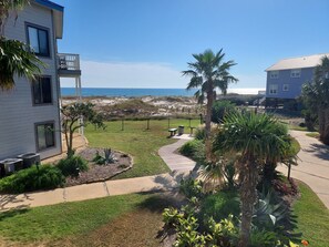 Zona residencial con un camino que lleva a una playa, rodeada de casas y palmeras.