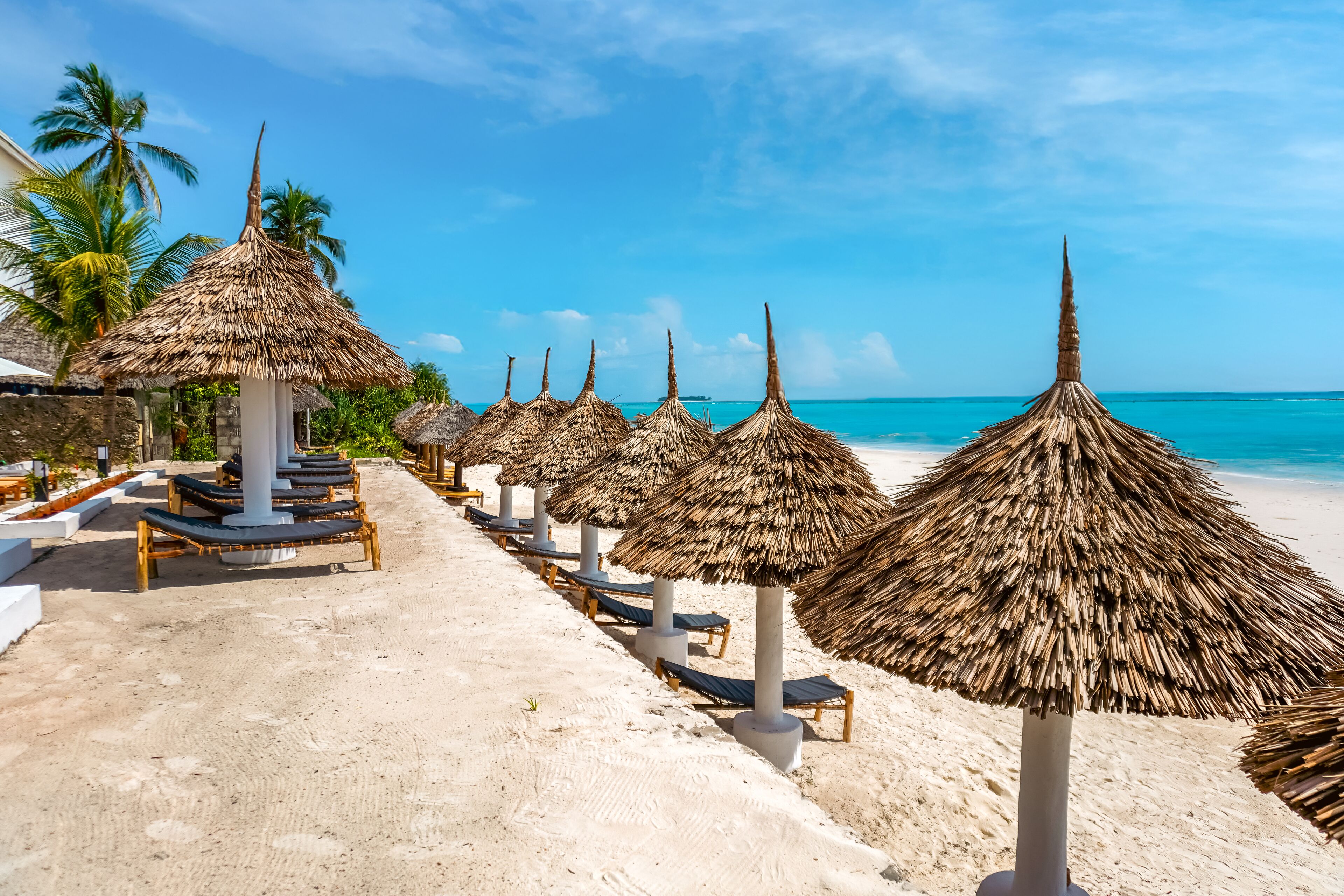 A beach with thatched umbrellas and lounge chairs aligned along the sand, palm trees, and a clear blue sky.