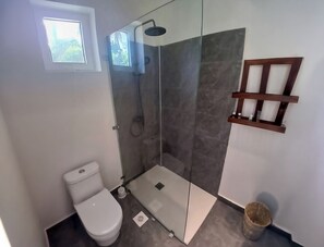 Habitación Deluxe | Baño | Regadera, regadera tipo lluvia, secadora de cabello, toallas 