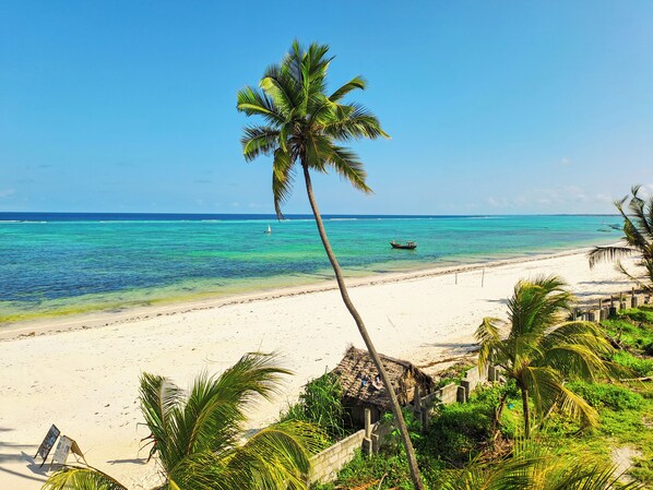 Vue sur la plage/l’océan