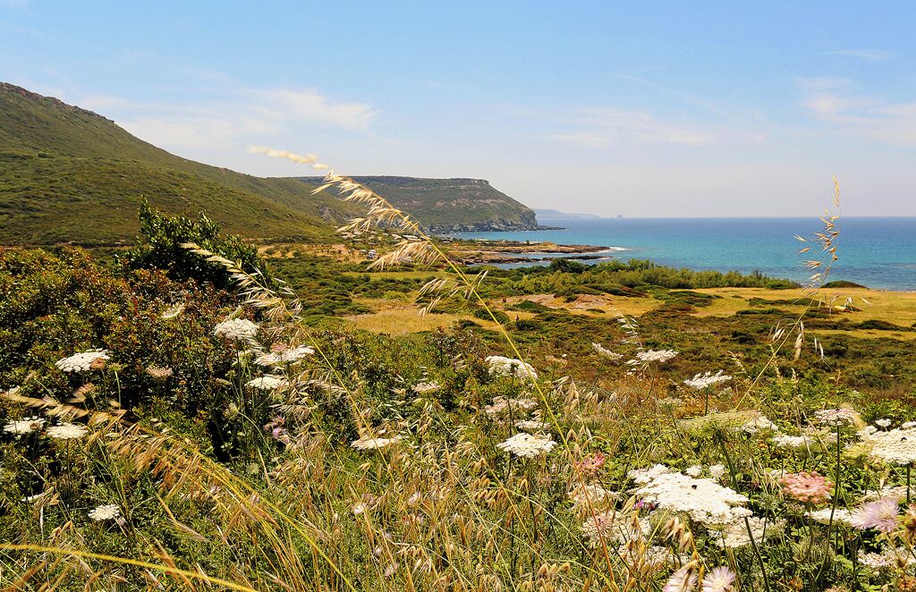 Photo - Hotel Baja Romantica