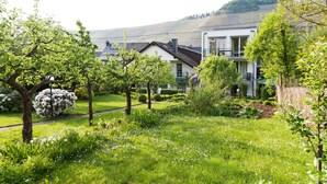 Zona residencial com casas, um jardim com flores brancas e uma colina ao fundo.