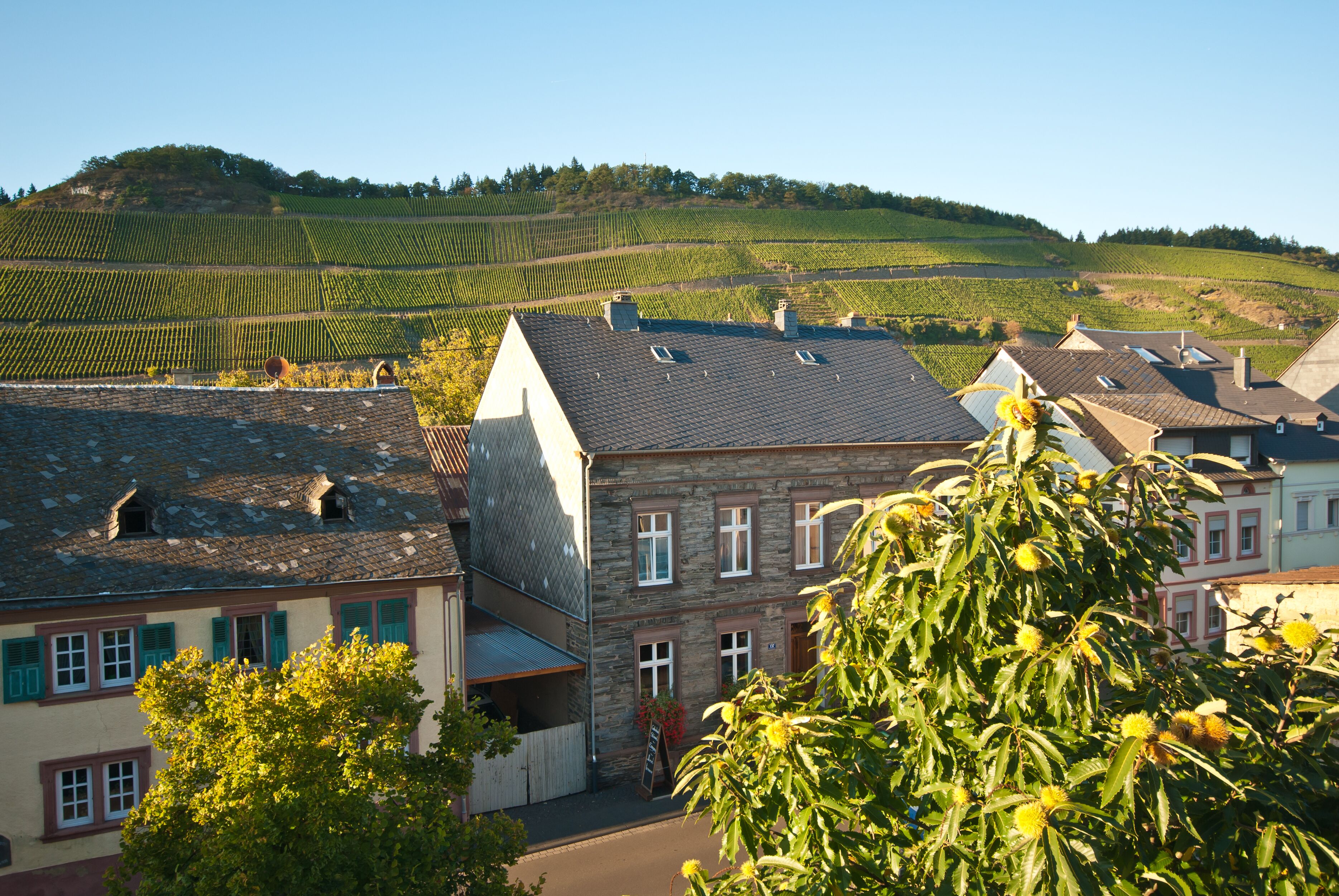 Suite panorámica | Vistas desde la habitación