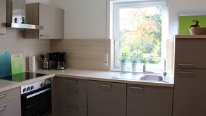 A modern kitchen with a window, built-in oven, and stainless steel appliances. - The apartment "Loretta" is a modern, quiet and centrally located apartment. (Traben-Trarbach)