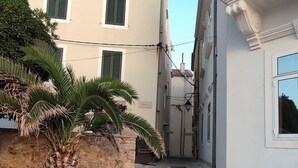Une rue étroite, bordée de bâtiments des deux côtés, avec un palmier et un parterre de fleurs.