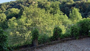 A gravel path leading to a fenced area with dense greenery and trees.