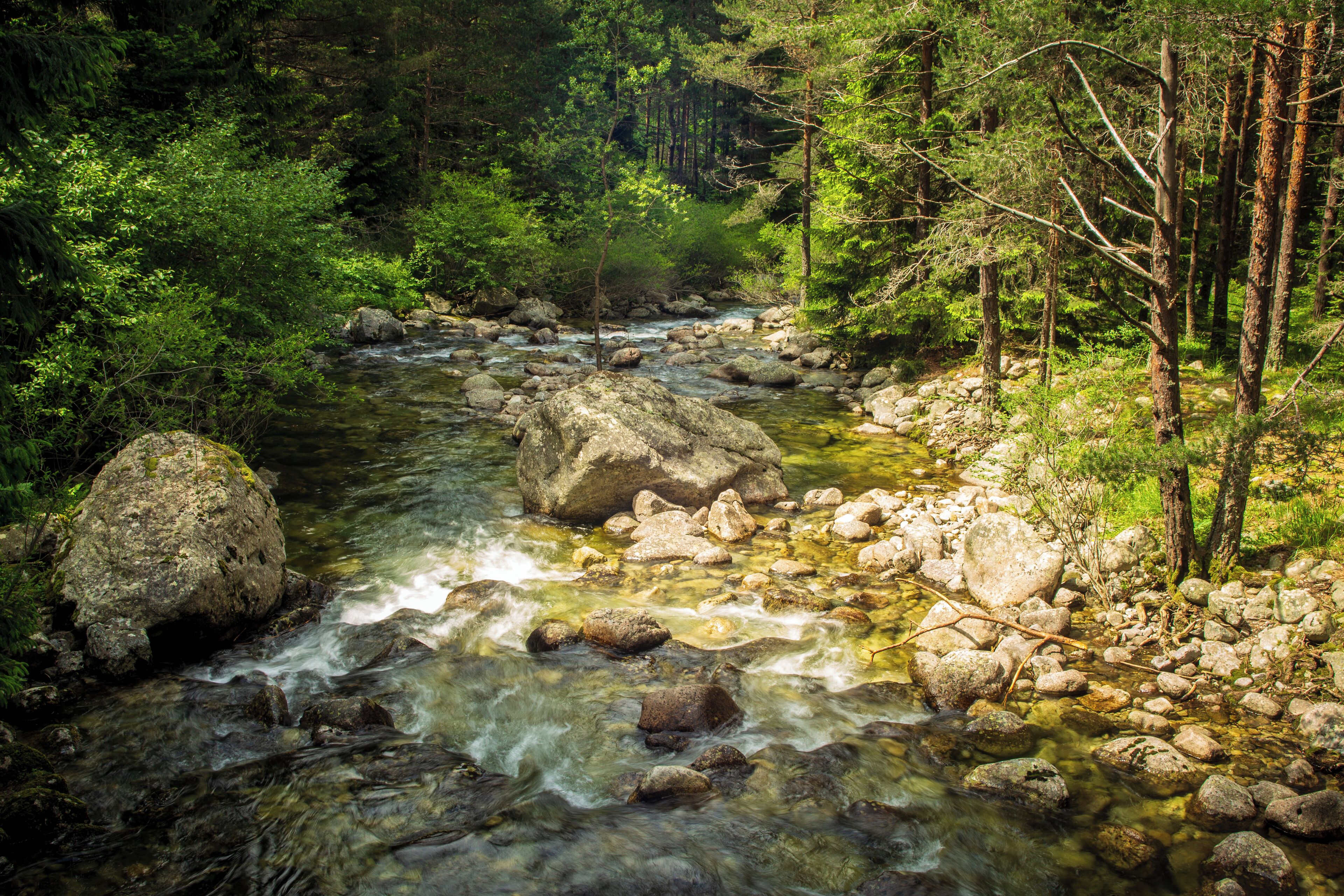 Un río serpenteando por un bosque de rocas y árboles.