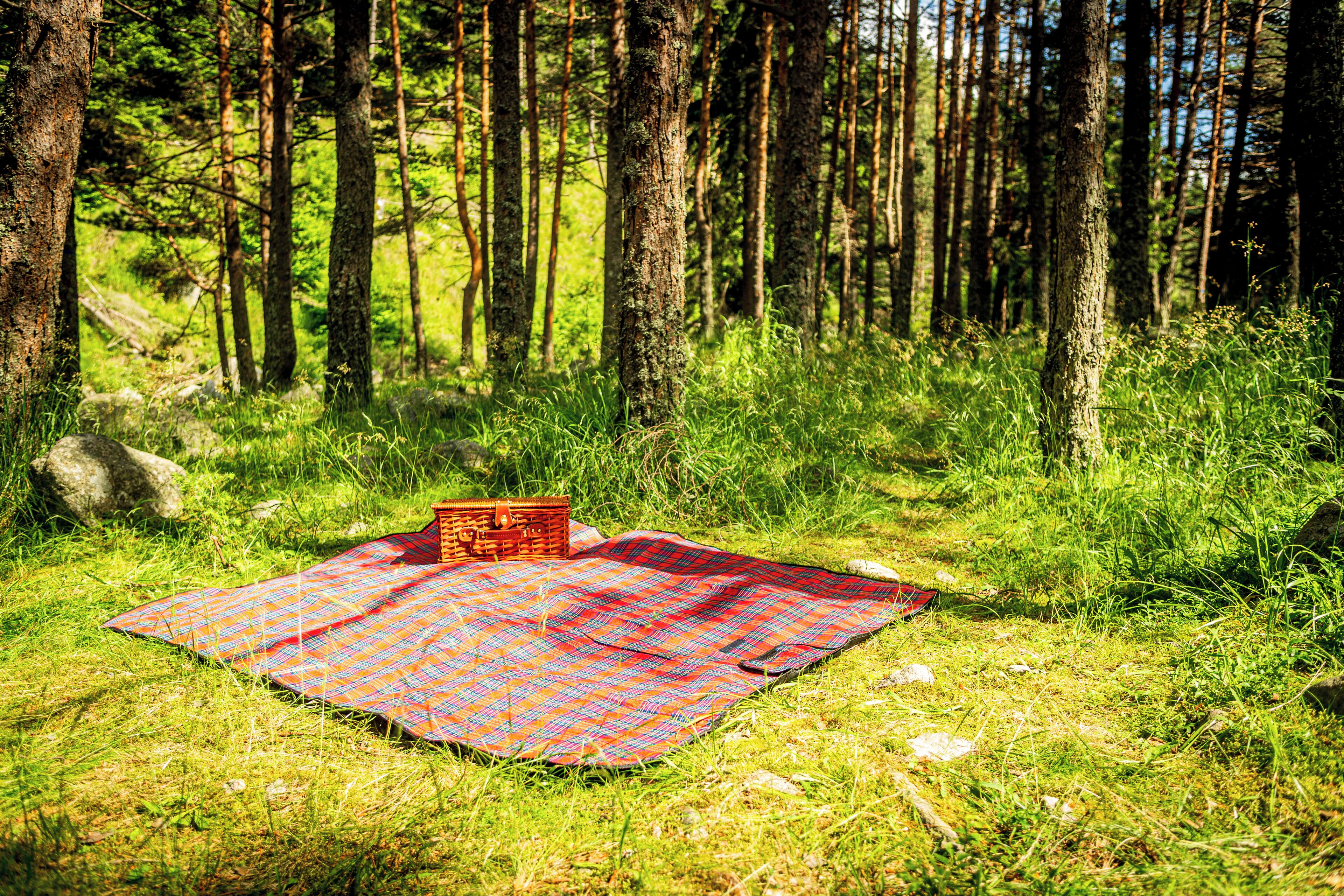Un montaje para un picnic en un bosque, con una manta y una cesta.