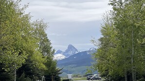 Een grasveld met bomen en een berg op de achtergrond.