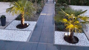 A pathway lined with palm trees and a covered area in the distance.