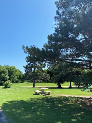 Outdoor dining - Family vacation house (Enid)