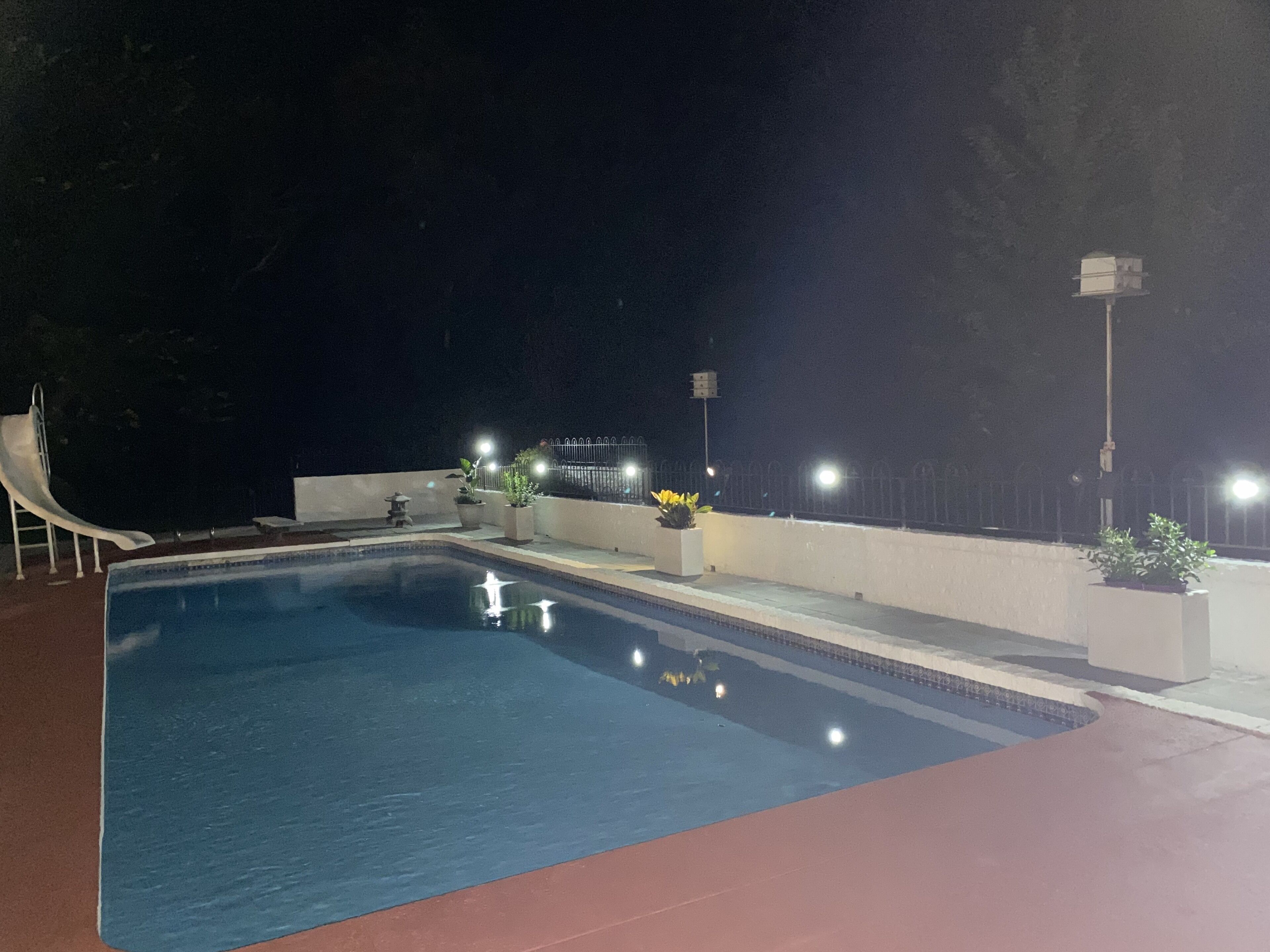 night swimming view