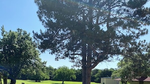 Terrace/patio - Family vacation house (Enid)