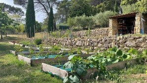 Ein Garten mit Erhöhungen, einer Steinmauer und einem kleinen Steinhaus.