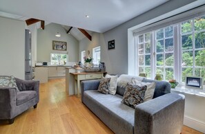 TV, fireplace, DVD player