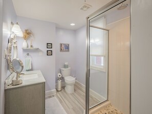 A bathroom with a glass shower door, a toilet, a sink with a mirror, and decorative items on the wall. - Historic Harrisburg Home (Harrisburg)