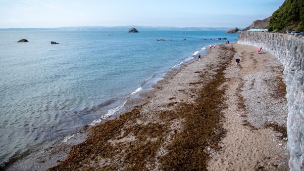 A coastal beach with a stone wall and rocky outcrops. - 2 Bed in Torquay (oc-bemews) (Torquay)