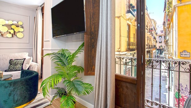 A living room with a sofa, a TV, a potted plant, and a view of a street through a window. - Genteel Home Mesones I (Granada)