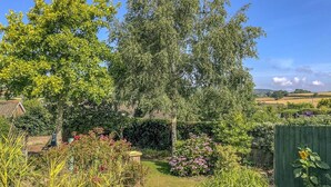 Ein Garten mit vielfältigen Pflanzen und Bäumen, einem Holzzaun und blauem Himmel.