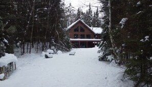 A log cabin surrounded by snow-covered trees.