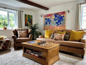 Télévision, cheminée, livres, espaces bureaux